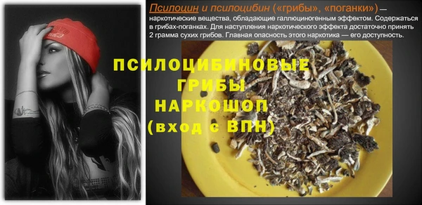 ECSTASY Алзамай