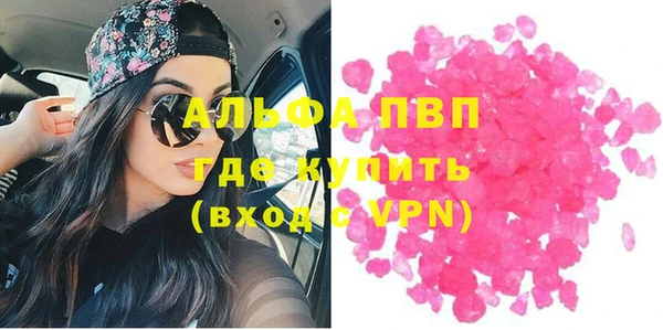 ECSTASY Алзамай