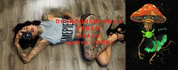 ECSTASY Алзамай