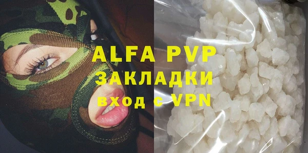 ECSTASY Алзамай