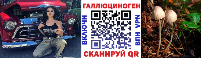 Галлюциногенные грибы мицелий  Светлоград 
