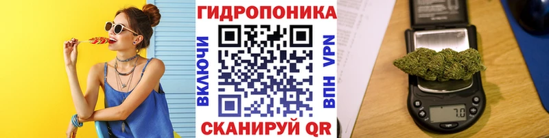 МАРИХУАНА сатива  мега tor  Светлоград 